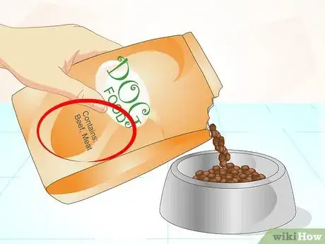 Image titled Firm Up Your Dog's Stool Step 3