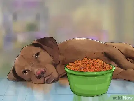 Image titled Treat Fever in Dogs Step 8