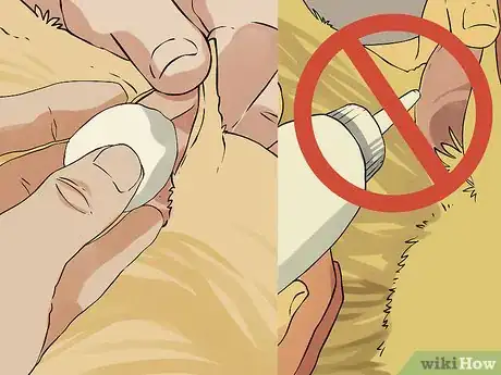 Image titled Give a Small Dog a Bath Step 14