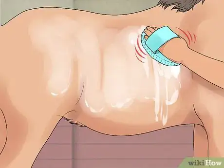 Image titled Succeed at Your First Horse Show Step 10