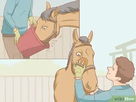 Image titled Become a Riding Instructor or Coach Step 2