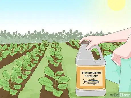 Image titled Improve Soil Step 2