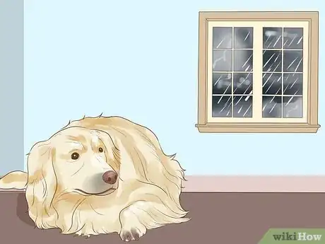 Image titled Include Your Dog in an Emergency Disaster Plan Step 11