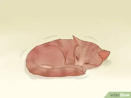 Image titled Adopt a Pair of Kittens Step 12