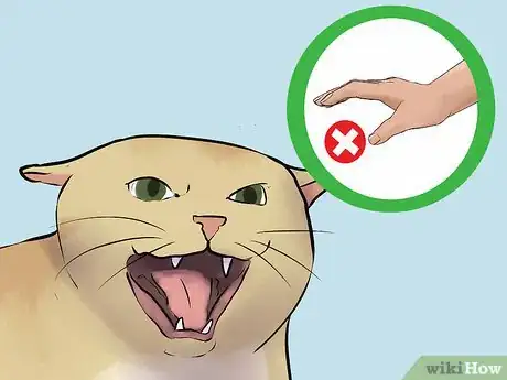 Image titled Calm an Aggressive Cat Step 1