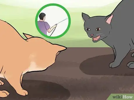 Image titled Calm an Aggressive Cat Step 4
