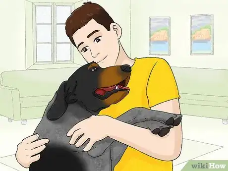 Image titled Identify a Bluetick Coonhound Step 11