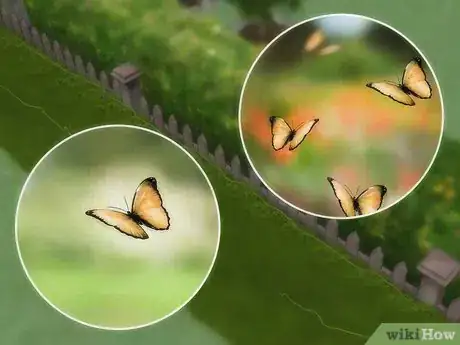Image titled Attract Butterflies Step 12