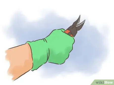 Image titled Grow Passion Fruit Step 18