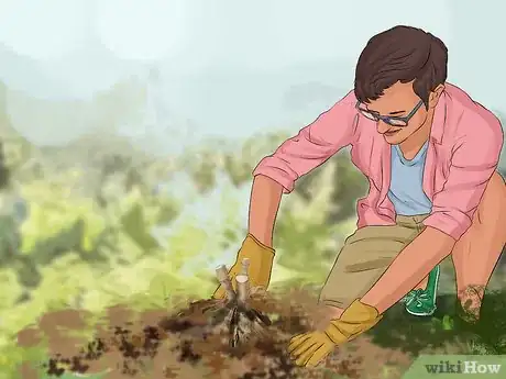 Image titled Grow Dahlias Step 5