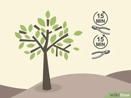 Image titled Prune Citrus Trees Step 13