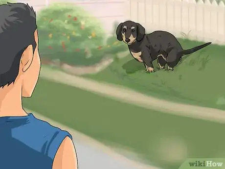 Image titled Crate Train Dachshunds Step 9