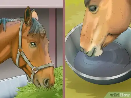 Image titled Stop Your Horse from Chewing Things Step 5