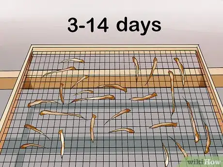 Image titled Harvest Dandelions Step 11