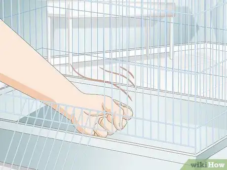 Image titled Select a Hamster Cage Step 6