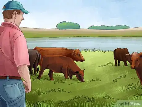 Image titled Manage Pastures Using Rotational or Management Intensive Grazing Step 27