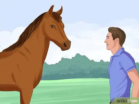 Image titled Put a Lead Rope on a Horse Step 1