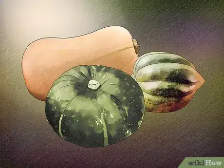 Image titled Choose Between Winter Squashes Step 3