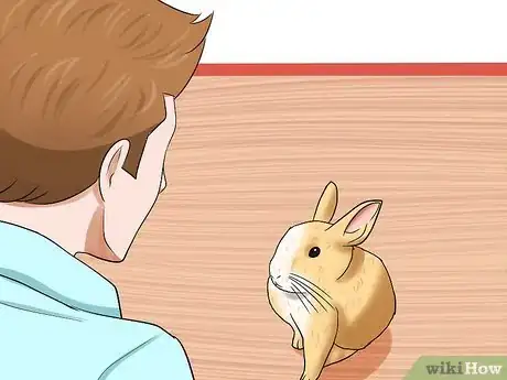 Image titled Diagnose Wry Neck in Rabbits Step 1
