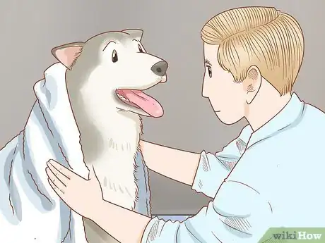 Image titled Treat Frostbite in Dogs Step 4