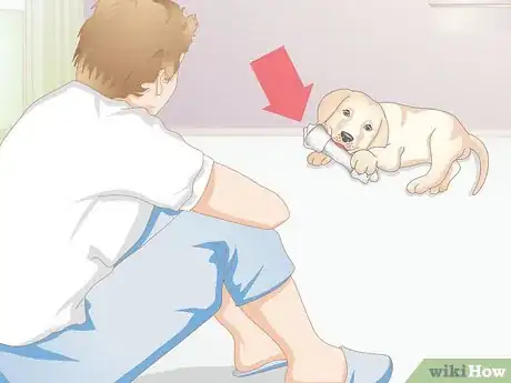 Image titled Avoid Dangerous Dog Toys Step 10
