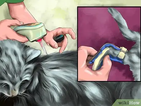 Image titled Treat a Cat with Acupuncture Step 7