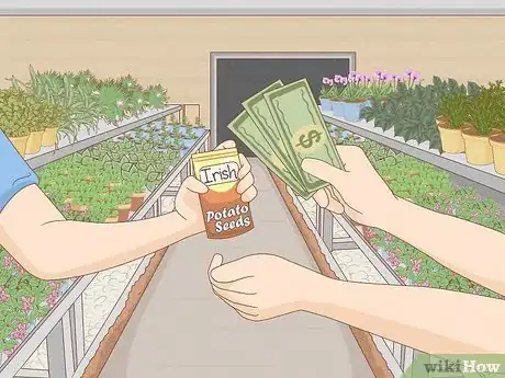 Image titled Grow Irish Potatoes Step 3