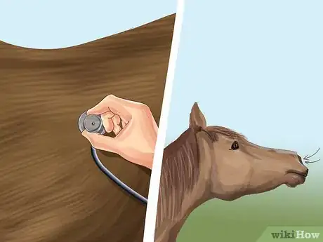 Image titled Monitor a Horse's Weight in Winter Step 8