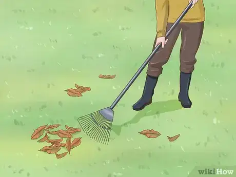 Image titled Protect Your Pets from Summertime Pests Step 12