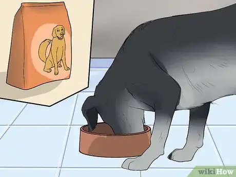 Image titled Care for Collies Step 9