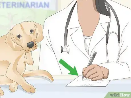 Image titled Treat Canine Tick Problems Step 7