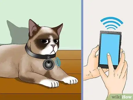 Image titled Avoid Losing Your Cat Step 3