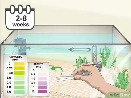 Image titled Build a Freshwater Predator Fish Aquarium Step 9