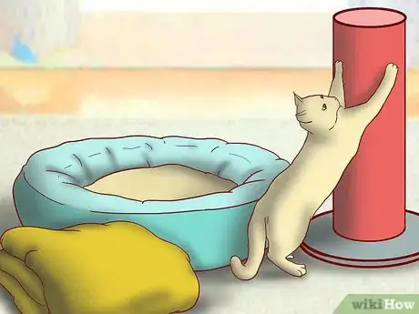 Image titled Include Your Cat in Holiday Celebrations Step 8