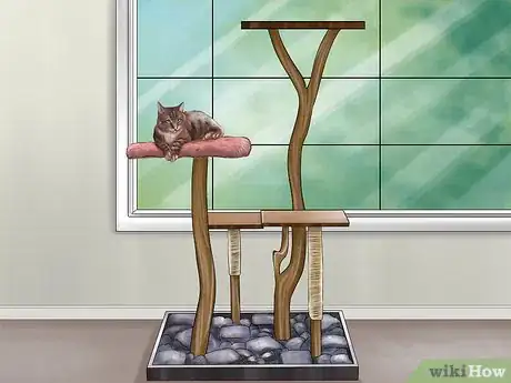 Image titled Stop a Cat from Drinking from Odd Places Step 10
