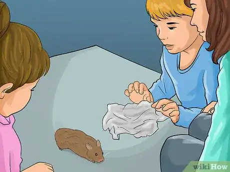 Image titled Care for a Hamster on a Small Budget Step 9