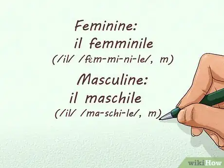Image titled Learn Articles in Italian Step 2