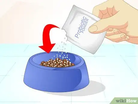 Image titled Firm Up Your Dog's Stool Step 9