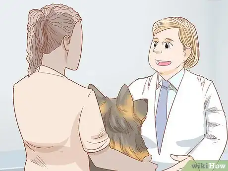 Image titled Take Your Dog Camping Step 8