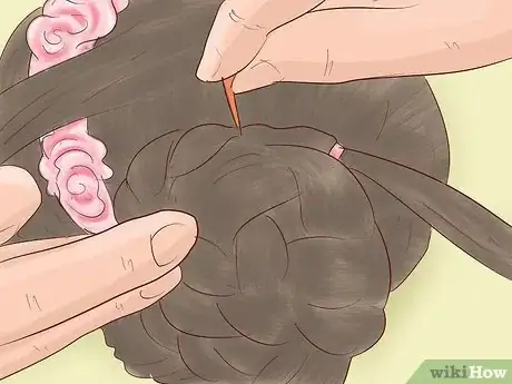 Image titled Do a Braided Flower Crown Hairstyle Step 11