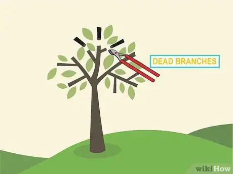 Image titled Prune an Avocado Tree Step 14