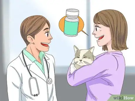 Image titled Diagnose and Treat Frostbite in Cats Step 10