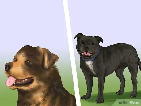 Image titled Choose a Good Hiking Dog Step 7