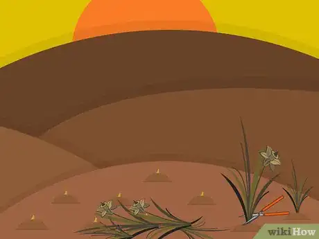 Image titled Plant Narcissus Bulbs Step 16