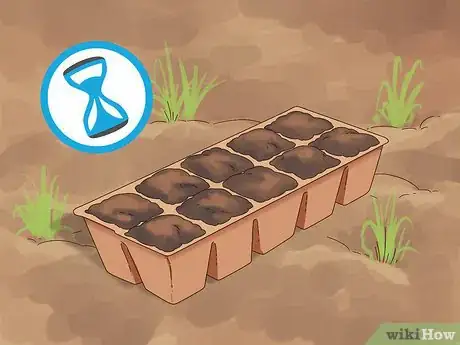 Image titled Grow Dichondra Step 10