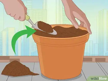 Image titled Plant Snowdrops Step 8