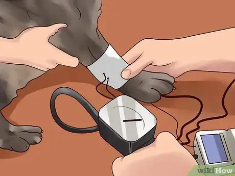 Image titled Treat Canine Kidney Disease Step 10