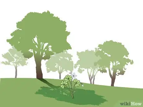 Image titled Harvest Wood Sorrel Step 1