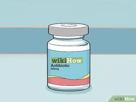 Image titled Treat Frostbite in Dogs Step 9