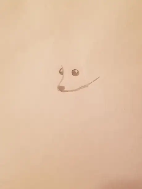 Image titled Raccoon3